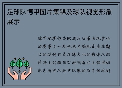 足球队德甲图片集锦及球队视觉形象展示
